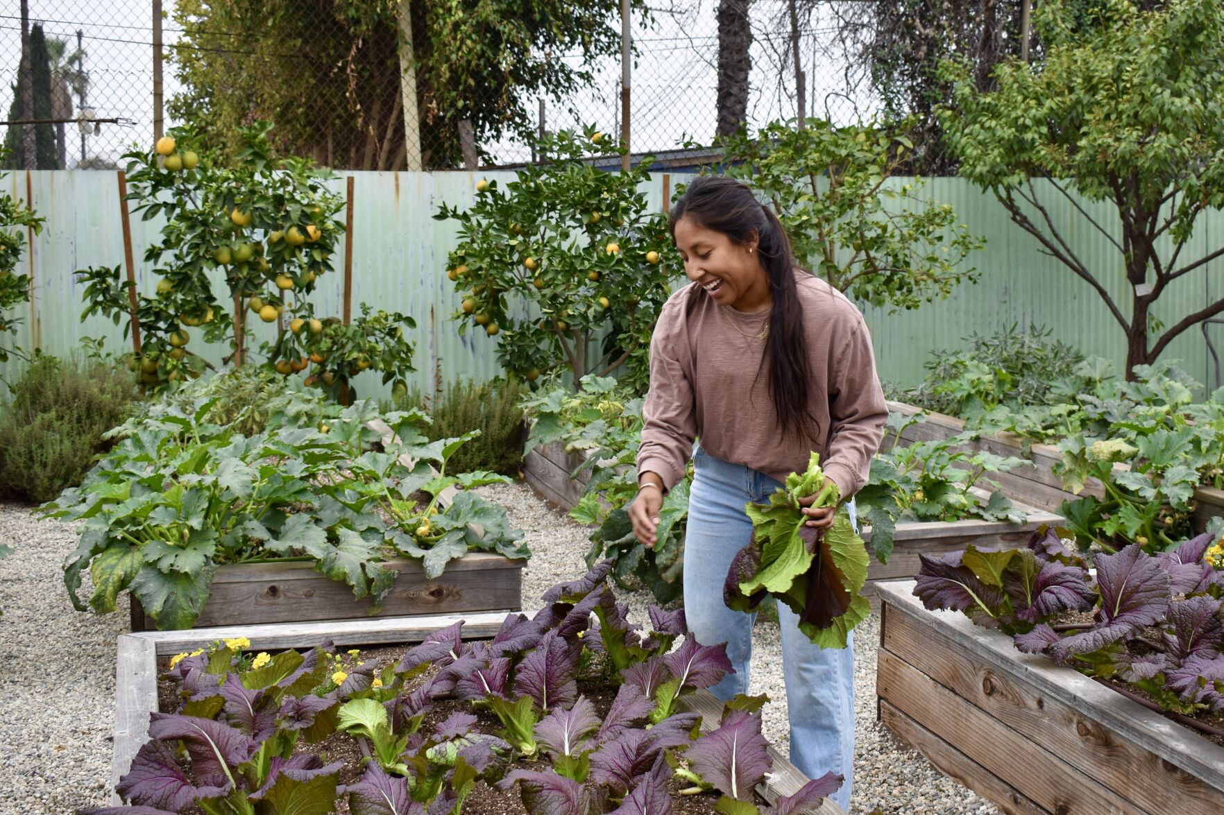 LMU alumni's Alma Backyard Farms promotes restorative justice in South LA